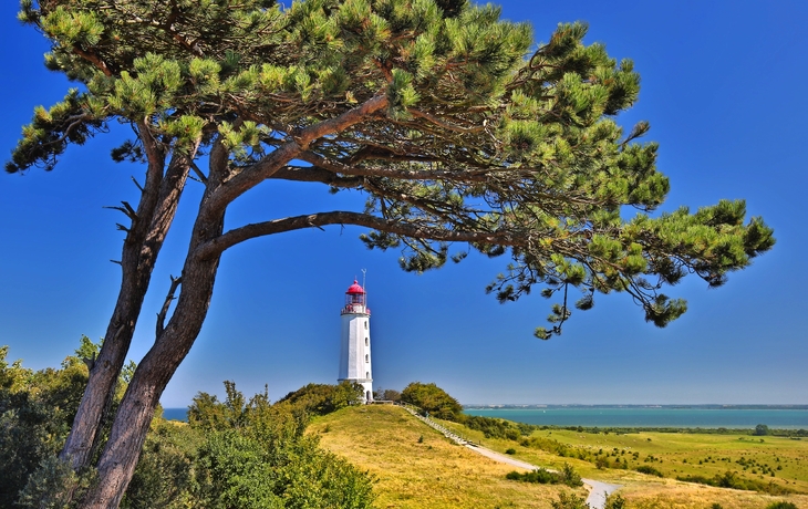 Dornbush Leuchtturm an der Nordküste der Insel Hiddensee