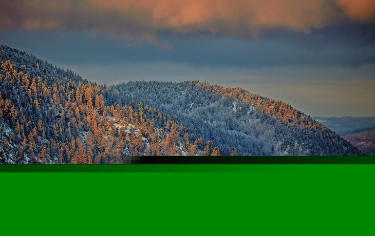 Winterlicher Oslojford