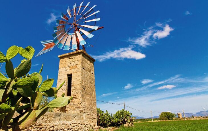 Windmühle auf Mallorca