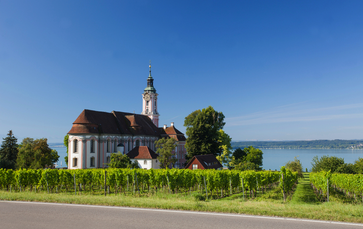 Wallfahrtskirche Birnau mit Weinbergen in Uhldingen-Mühlhofen am Bodensee
