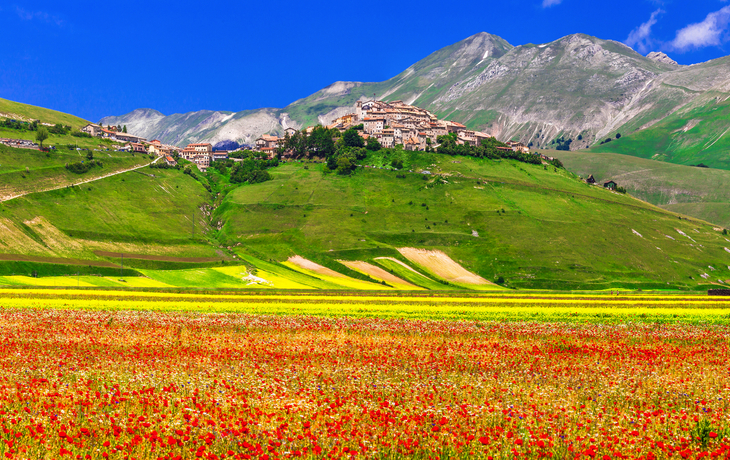 Castelluccio di Norcia vor Mohnfeldern