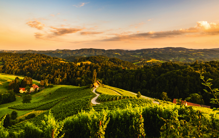 berühmte herzförmige Straße bei den Weinbergen in Slowenien nahe der Grenze zur österreichischen Südsteiermark