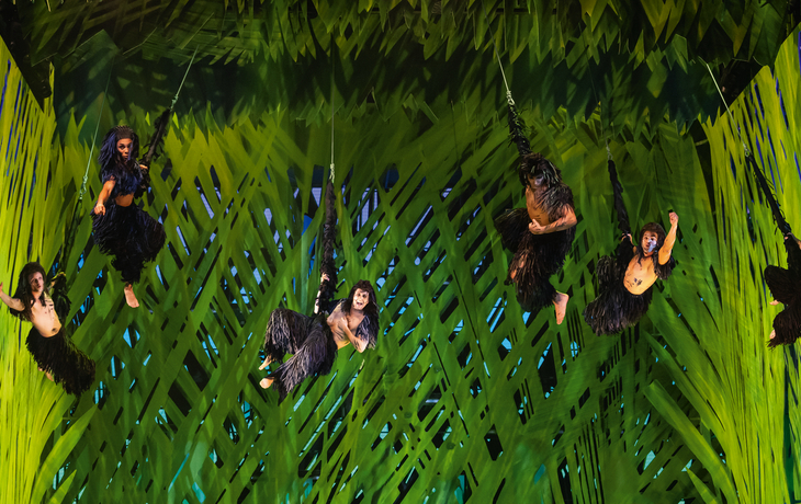 TARZAN -  das Musical
