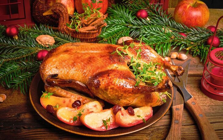 Christmas duck