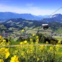 Niederau nahe Wildschönau