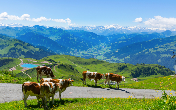 Wandern auf dem Kitzbüheler Horn in Tirol, Österreich